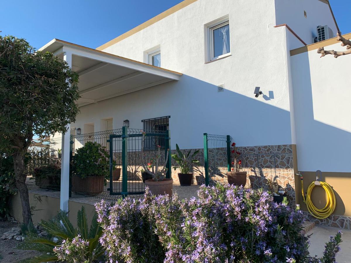 Casa Enric , Con Zona Infantil, Piscina Y Parking Privado Pensionat Deltebre Exteriör bild