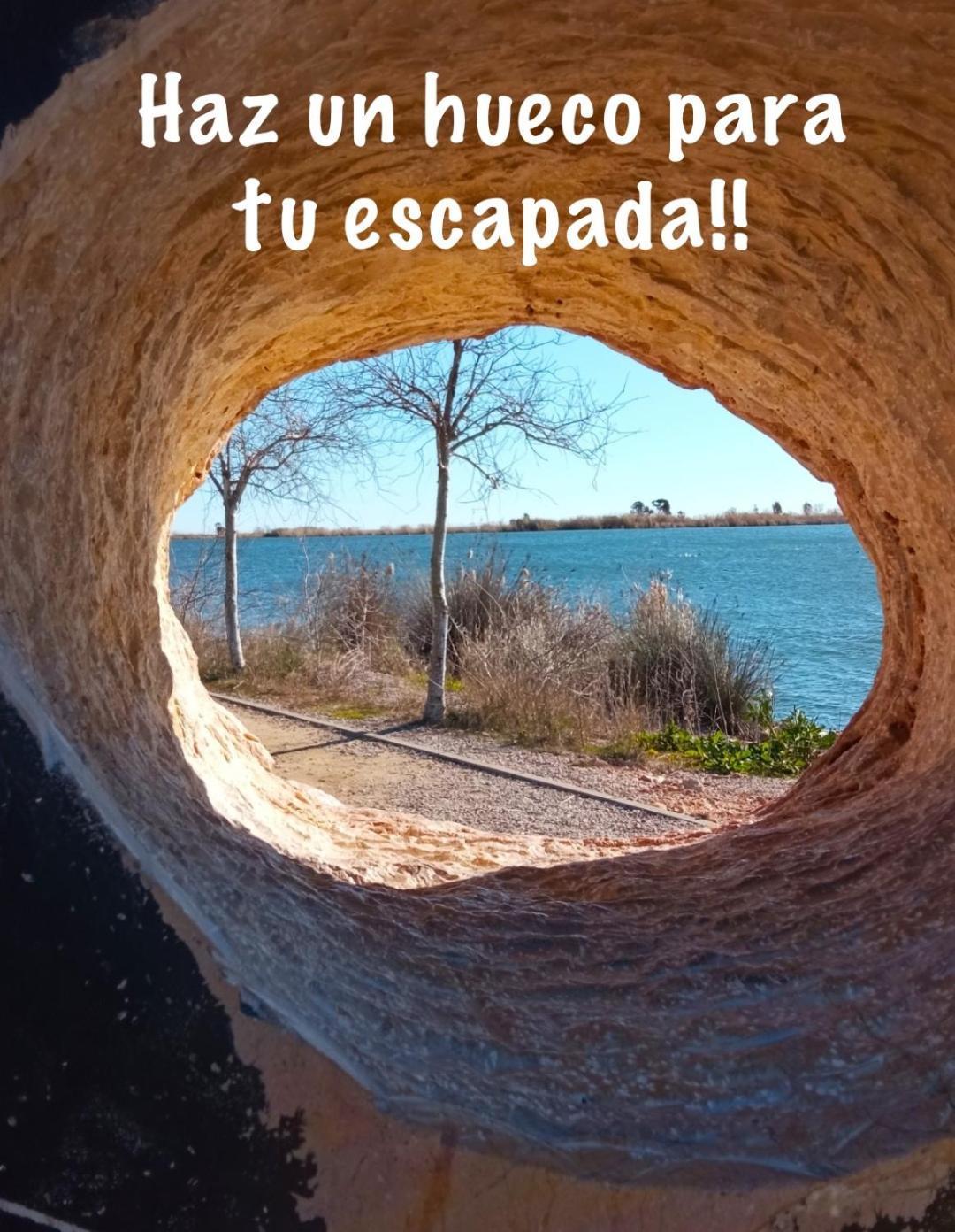 Casa Enric , Con Zona Infantil, Piscina Y Parking Privado Pensionat Deltebre Exteriör bild